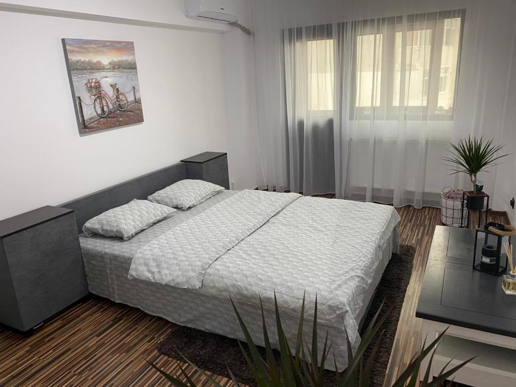 Apartament Exclusive Targu Ocna Buitenkant foto
